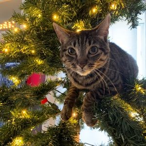 Meet your Posher, Emma